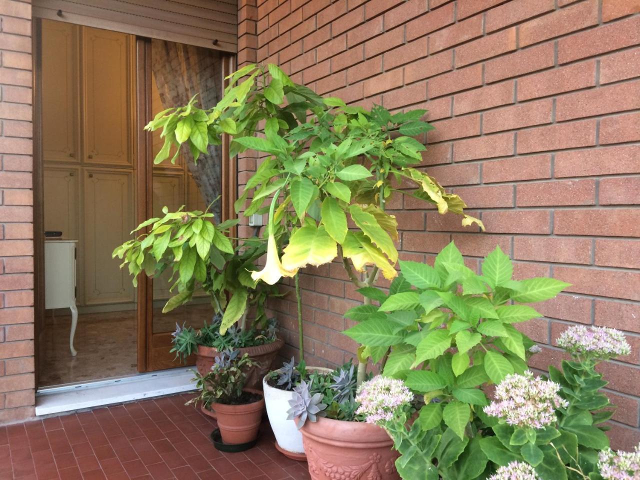 B&B Pergolesi Verona Exterior foto
